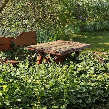 度假居 4 Person In Oksbol-by Traum