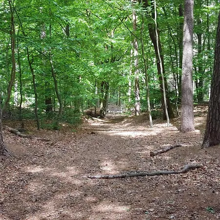 4 Person In Oksbol-by Traum 度假居 Oksbøl