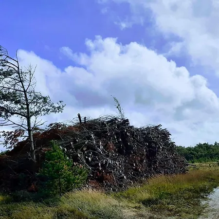 4 Person In Oksbol-by Traum Oksbøl