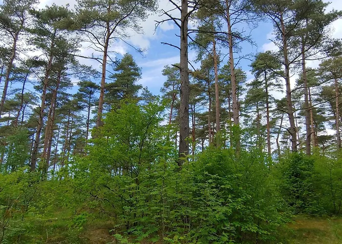 4 Person In Oksbol-by Traum 度假居 *